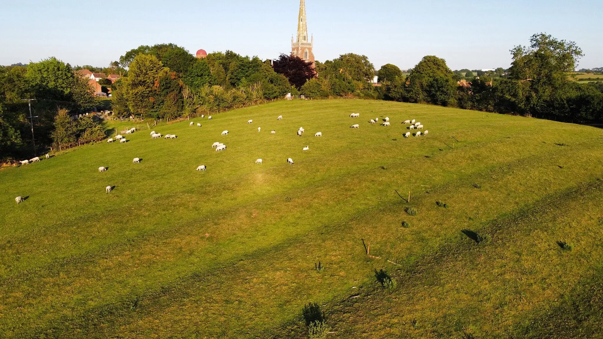 Sheep grazing in the pasture below Braunston's church spire